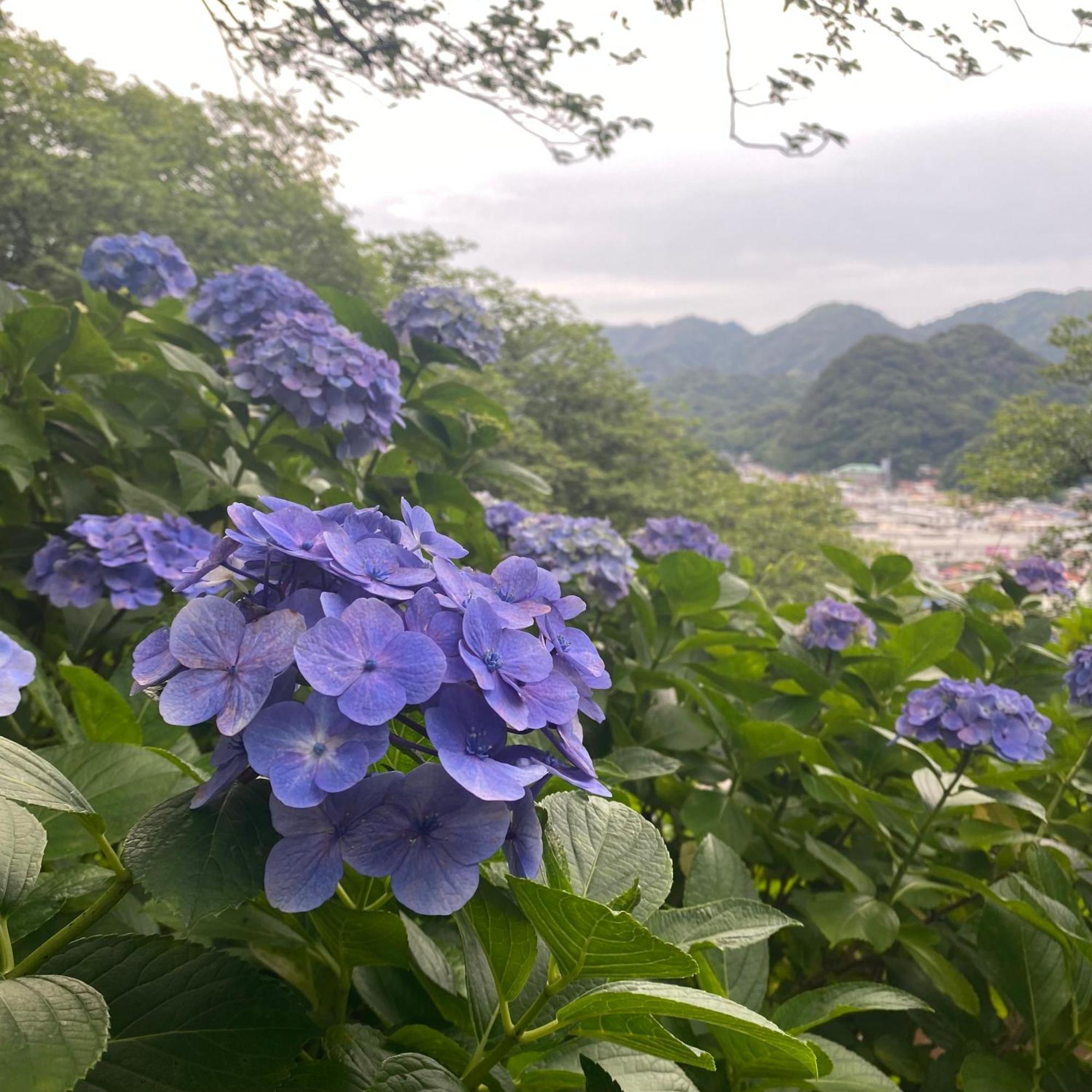 下田Toraya Attic别墅 外观 照片